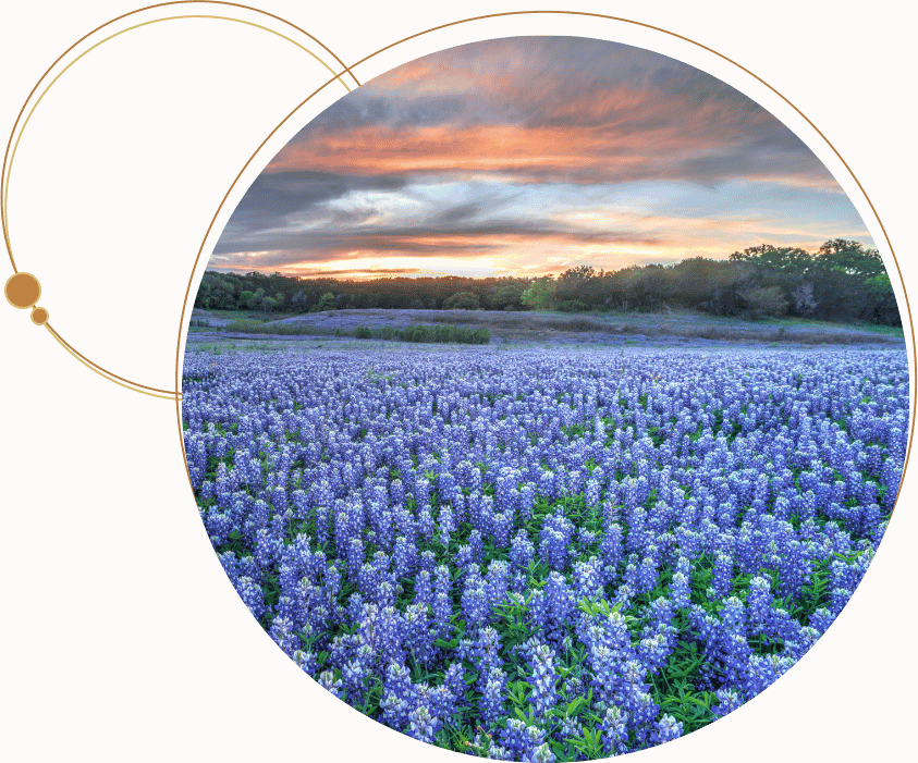 Rockwall fields flowers - Simply Seated Rents and Events serves Rockwall County TX